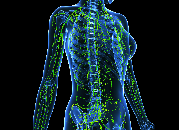 Manual Lymph Drainage
